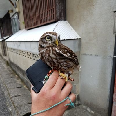 韓流ドラマが大好きです💓♥️❤️
スピリチュアルも大好き💓♥️❤️
太極拳☯️頑張ってます✨😊