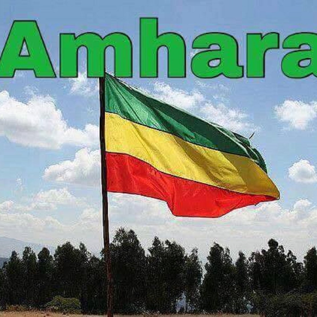 IyassuEphraim's profile picture. 