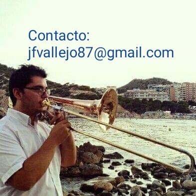 Musico profesional