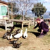 İbrahim Gezici 🖨️ (@ibrahim_gezici) 's Twitter Profile Photo İbrahim Gezici 🖨️ (@ibrahim_gezici) 's Twitter Profile Photo