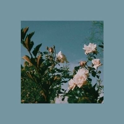 kyudipai's profile picture. @ainturhooman