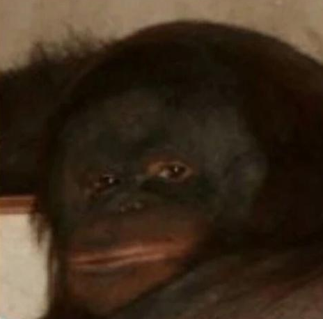 Shoob63932822's profile picture. Stupid bitch spooked me from the rear