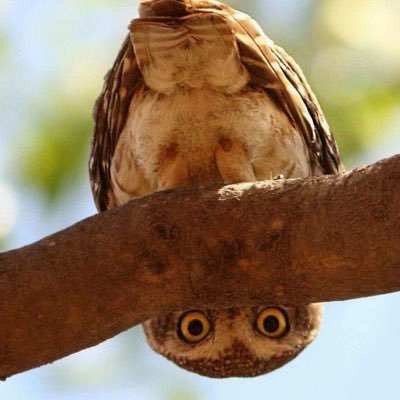 IPmom4's profile picture. 