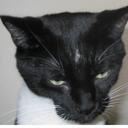 James Collard - @jamescollard - Twitter