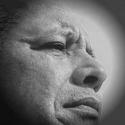 MG_fotografias's profile picture. você jamais terá uma segunda chance de causar um primeira impressão