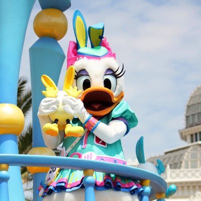 ディズニー大好きです(^^)よろしくお願い致します！ディズニー共通年パとユニバの年パ持ち！デイジー押し！！