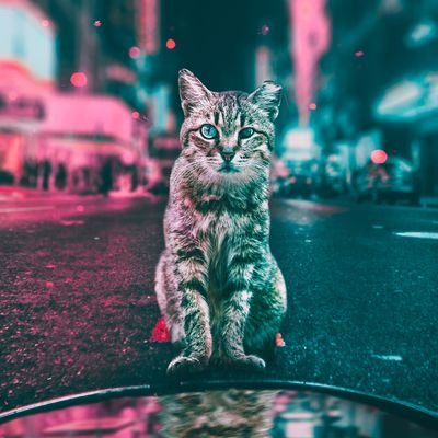 Codguy99's profile picture. Rain Man