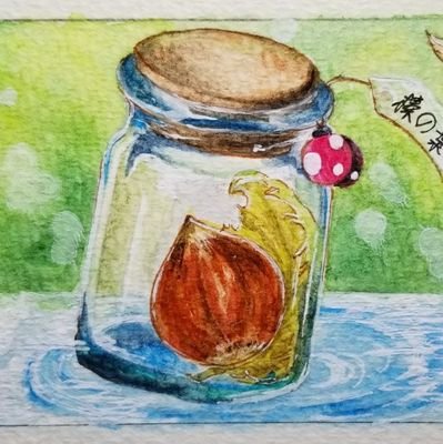 はしばみ🌰低浮上さんのプロフィール画像