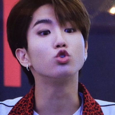 jisungghans's profile picture. han jisung the loml