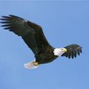 Antonio Franklin - @jobeanie1 - Twitter