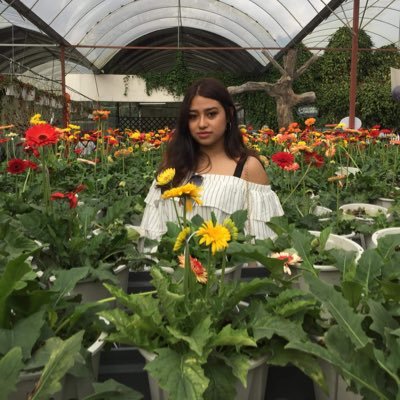 Sha30290186's profile picture. perampas suami orang