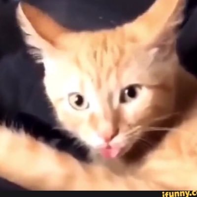 notoveryet5's profile picture. Pay attention to what I say