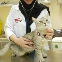 Dr.saarya (@sarya1413) 's Twitter Profile