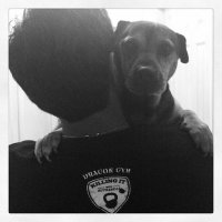 somnathsikdar (@somnathsikdar) Twitter profile photo