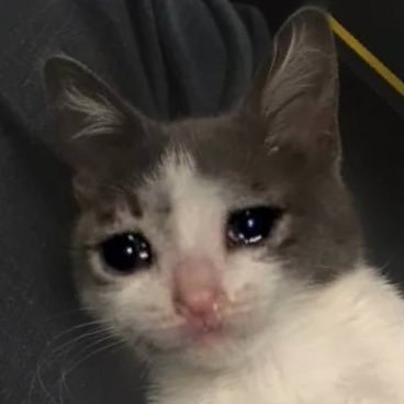 sad and horny