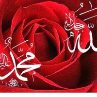 Adem.koşat (@adem79754651) Twitter profile photo