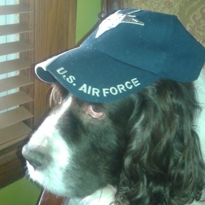 llendonmar46's profile picture. USAF Ret. #AnimalLove #Veterans #Science #Resister #WomenRights #NoReligion #UniteBlue  #SupportLGTBQ #Equality #VoteBlueNoMatterWho #FBR  📎🌊🇺🇸🌊