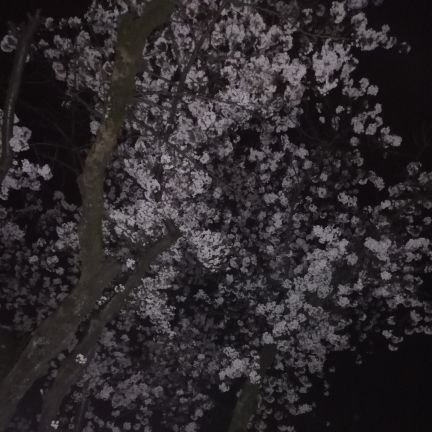 AAA_plus_h_m's profile picture. aヲタ　2個アカウントありますw