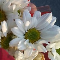 Feyzanur Savaş Demir (@fyznur_s) Twitter profile photo