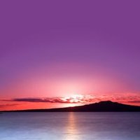 Journey (@journey72286514) 's Twitter Profile