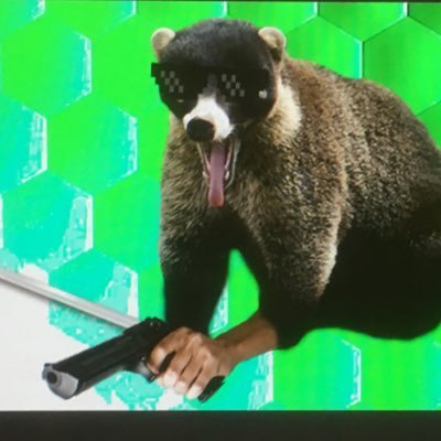 BroodjeVisman's profile picture. Nederlands bedrijf