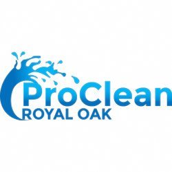 PressureOak's profile picture. ProClean Pressure Washing of Royal Oak offers the best commercial and residential power washing services.3031 Trafford Rd, Royal Oak, MI 48073 | (248) 744-6964.