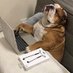 Hard Working Employee (@lilfighterxxx) Twitter profile photo Hard Working Employee (@lilfighterxxx) Twitter profile photo
