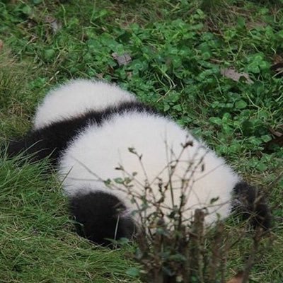 みる