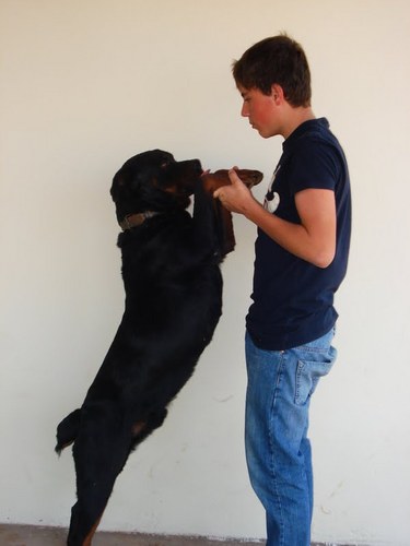 Terciopimentel's profile picture. Segue ae?;p