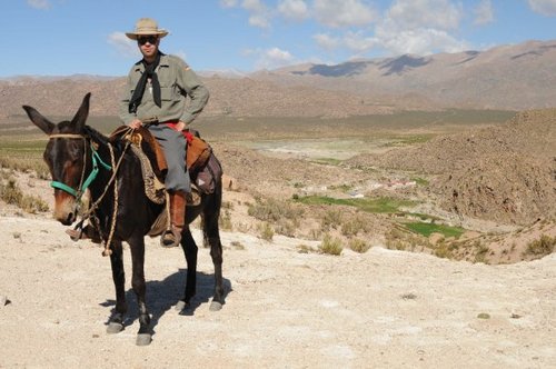 La mala en buena. Periodista. Director de Radio Nacional Salta