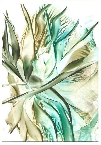 LadyZefir's profile picture. 