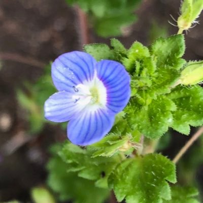 yabenokyouto's profile picture. 世界は萌に溢れてます♪日々の活動垢はこちら→@Kanagi6k