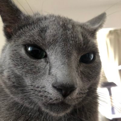 isarag12's profile picture. iOSエンジニア/Software engineer/iOS/猫/酒/ダイエット/ランニング/父/五反田🍻