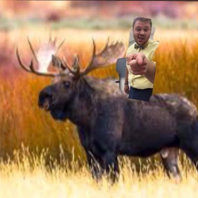 PCHS_MR_HINKLE's profile picture. The official account of Mr. Hinkle's social studies classes of PCHS. 🇺🇸📜✏️👔 GO WILDCATS!!! 🐾 Email: derek.hinkle@k12.wv.us Kahoot: dhinklehw23j