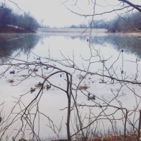 Duckwild (@letsgetbuckwild) 's Twitter Profile