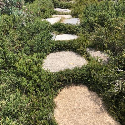 AugustusOctav17's profile picture. 