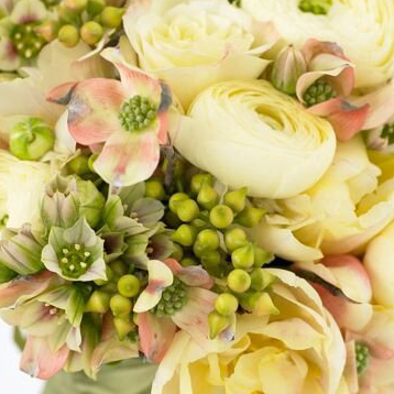 supernovachevy's profile picture. Garden work specialist