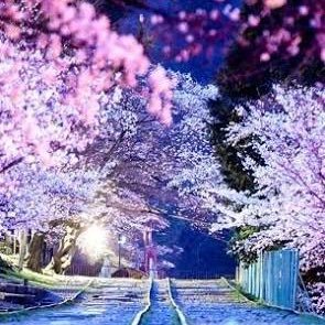 2mFS6K4CG3y3zU5's profile picture. 初めまして。会社員をしています。大学は法学部で、憲法のゼミで人権を勉強しました。 性格は、明るく、元気なので、気軽にお話しから出来たら、幸いです。