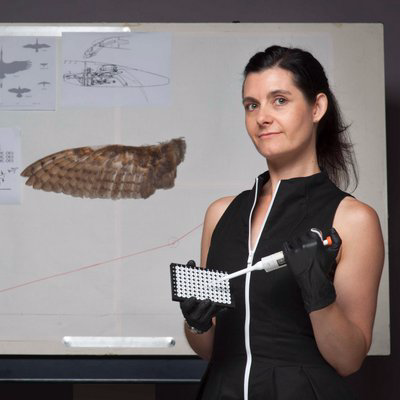 CW Whitney Chief Scientist at Smithsonian @NMNH | Wildlife Forensic Scientist | Koalas | Conservation Genomics | 🐨🧬🇦🇺🇺🇸👩🏻🔬🏏⚾️☕️