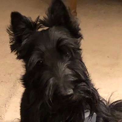 Leia1912's profile picture. She/her. A lot of people know me, and some don't.