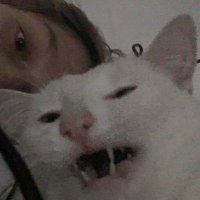 my name stimky (🧡) (@litolsister) 's Twitter Profile