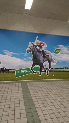 kitanotora's profile picture. 