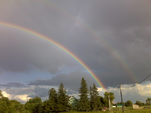 Pushmepullyu's profile picture. 