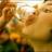 esbalentina's profile image