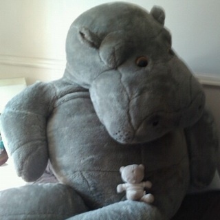 StuffedAnteater's profile picture. As seen on tv.