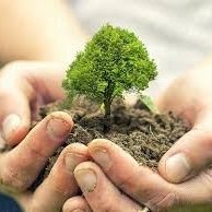 Professional Fundraiser.
We have to save the planet. Replace fossil fuels, ban single use plastics, curb food waste, get rid of ignorant politicians.