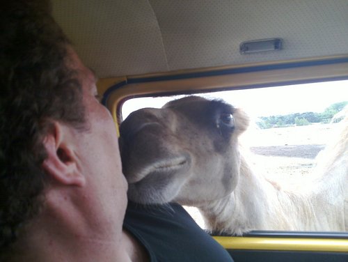 saschadaniels's profile picture. VW Bus und Motorrad Fan. Internet für jeden immer und überall sollte ein Grundrecht sein! VOIP als Berufung. Opensource Verfechter.