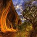 Shire of Westonia (@shireofwestonia) Twitter profile photo Shire of Westonia (@shireofwestonia) Twitter profile photo