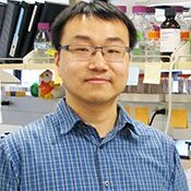 YONGJIAN QIU (@yongjianq) 's Twitter Profile