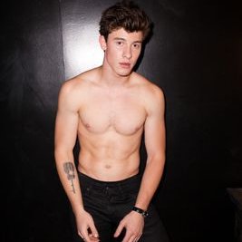 Shawn Mendes Nudes.